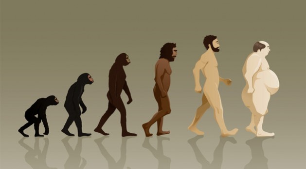 human evolution 