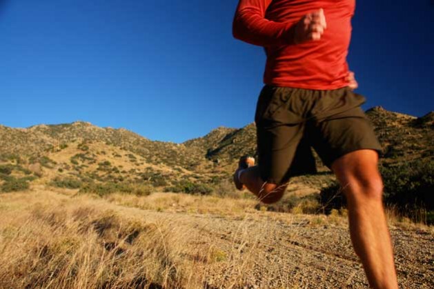 The Nurture of Running Fitness - stack