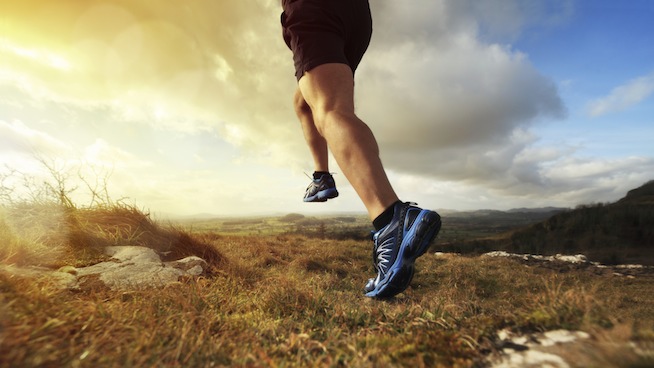 Strength and Condition for the Distance Runner