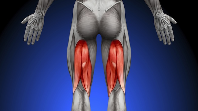 Flexibility Isn't the Problem with Your Hamstrings