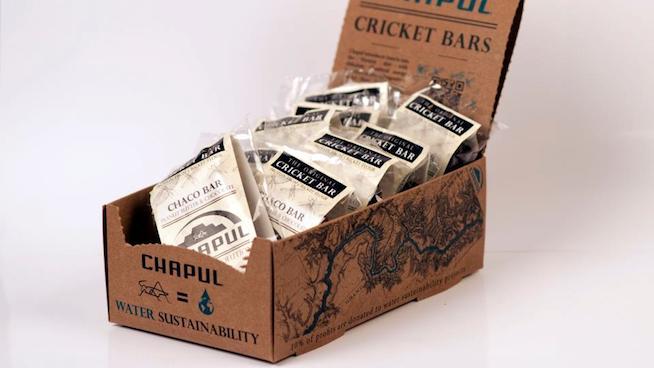 Munching Bugs: Two Cricket Protein Bars Reviewed