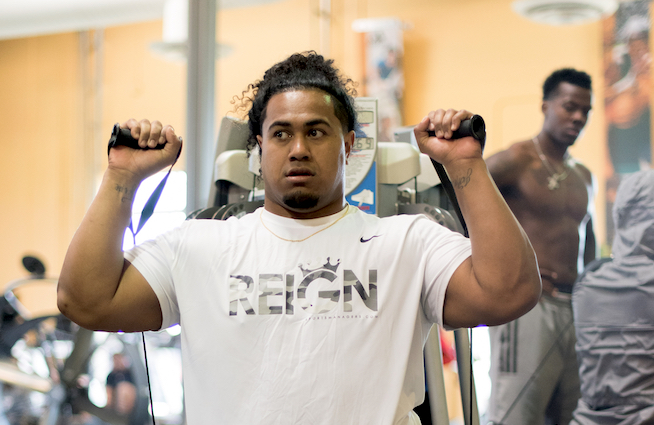 vita vea t shirt
