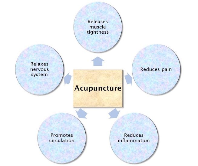 Acupuncture Chart - STACK