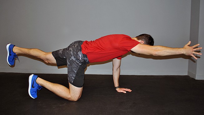 strength trainer performing bird dog exercise in core strength training routine
