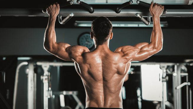 How to Create a Back Workout That Actually Works - stack