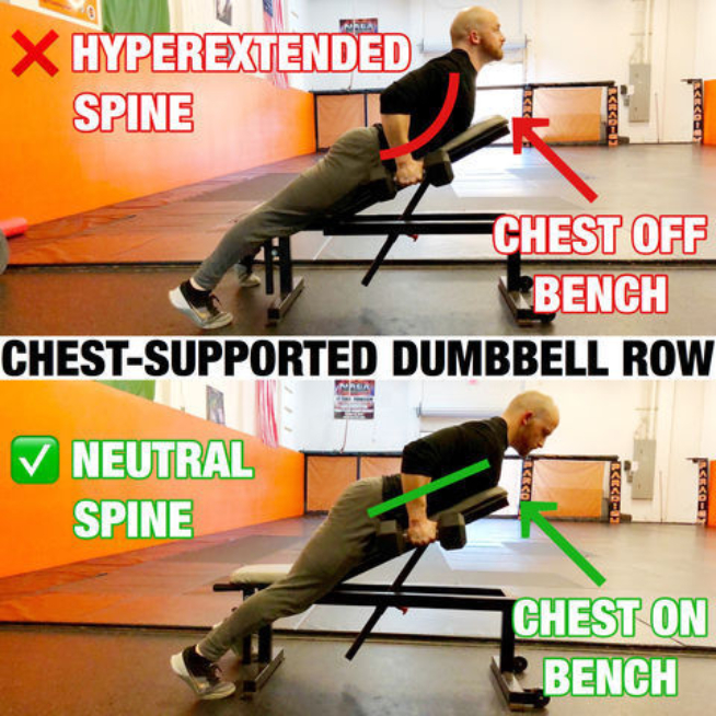 supported dumbbell row