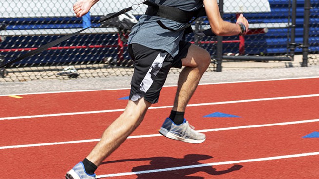 Speed sled on sale workout