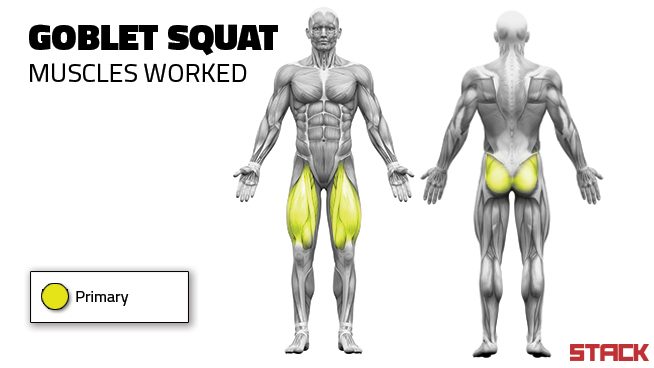 Why the Goblet Squat Is the Best Squat for Young Athletes - stack