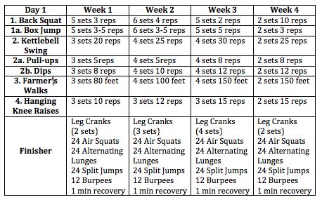 obstacle course workout plan