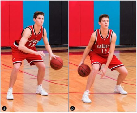 How to Dribble a Basketball Between the Legs (with Pictures)