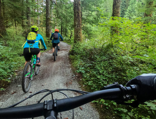 Moves to Increase Strength for Mountain Biking