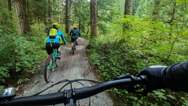Multi-ethnic family riding on single track trail. North Vancouver, British Columbia, Canada.