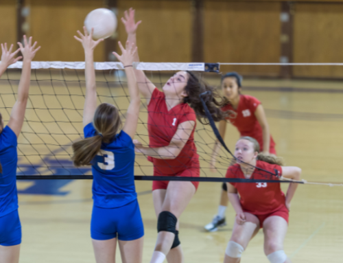 Off-Season Vertical Training
