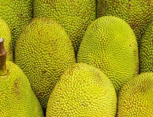 What is Jackfruit and is it Healthy?