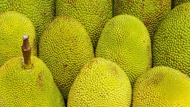 close up image of a group of jackfruit