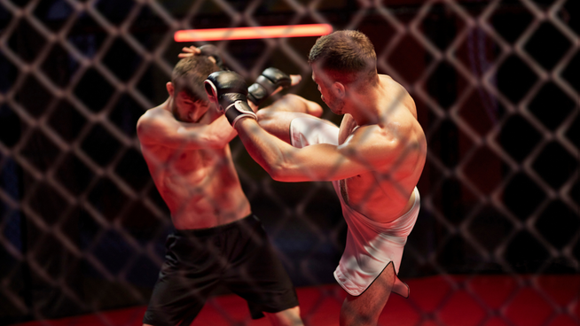 two male MMA fighters battling in the octagon