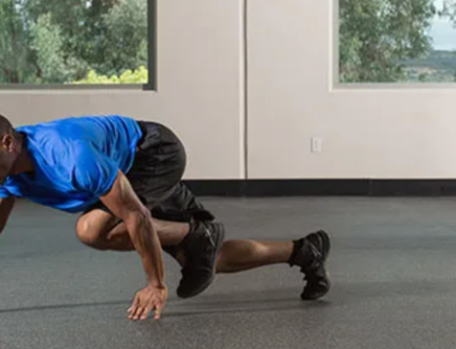 Bear Crawls: How to Properly Perform and Integrate Them Into Your Program
