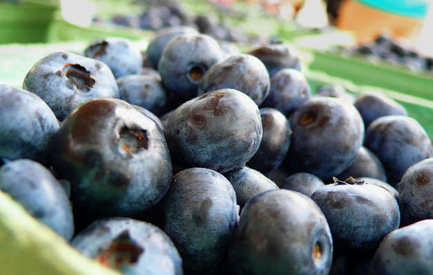 STACK Image: Blueberries