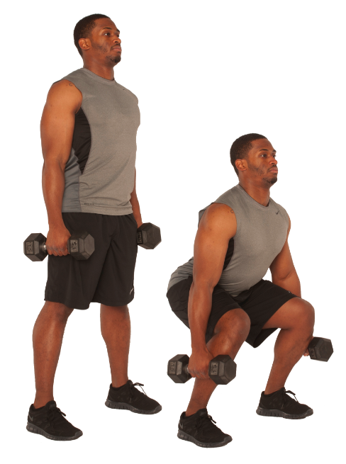 Dumbbell Squat 101: A How-To Guide - stack